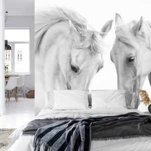 Papier Peint Deux Chevaux Blancs 3D – Image 8
