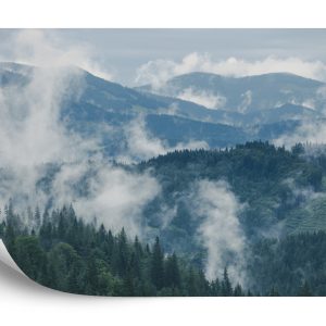 Papier Peint Forêt Dans Le Brouillard – Image 2