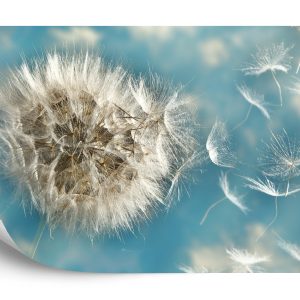 Papier Peint Pissenlit 3D – Image 2