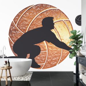 Papier Peint Joueur De Volley-Ball Sur Le Fond Des Boules – Image 5