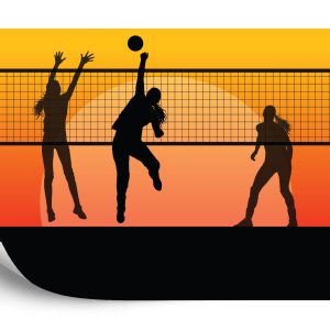 Papier Peint Joueurs De Volleyball Pendant Le Jeu – Image 2