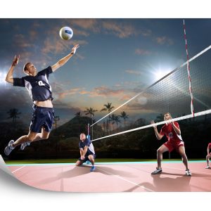 Papier Peint Joueurs De Volley-Ball En Action – Image 2
