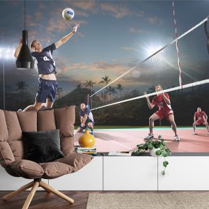 Papier Peint Joueurs De Volley-Ball En Action – Image 4