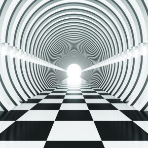 Papier Peint Forêt Dans Le Brouillard – Image 1