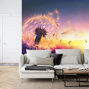 Papier Peint Pissenlit Optique – Image 6