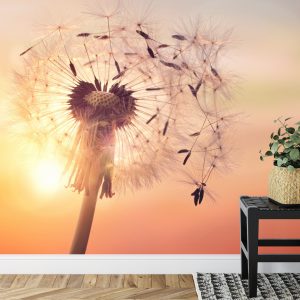 Papier Peint Pissenlit Optique – Image 7