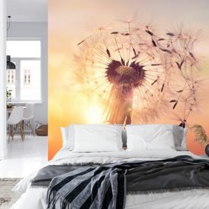 Papier Peint Pissenlit Optique – Image 8