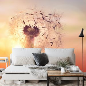 Papier Peint Pissenlit Optique – Image 3