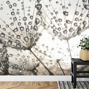 Papier Peint Gouttes De Pissenlit – Image 7