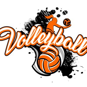 Papier Peint Ballon De Volley-Ball Avec L'inscription – Image 1