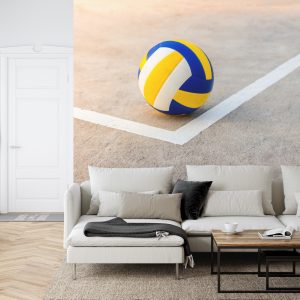 Papier Peint Volley-Ball Près De La Ligne Blanche – Image 6