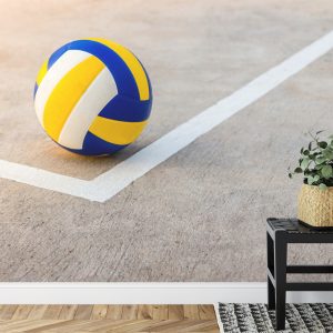 Papier Peint Volley-Ball Près De La Ligne Blanche – Image 7