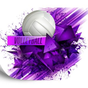 Papier Peint Volley-Ball – Image 2