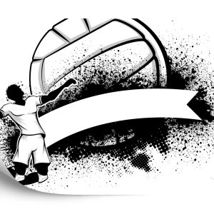 Papier Peint Joueur De Volley-Ball Noir Et Blanc Avec Ballon – Image 2