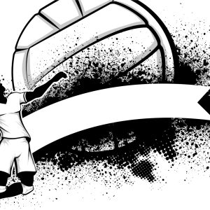 Papier Peint Joueur De Volley-Ball Noir Et Blanc Avec Ballon – Image 1