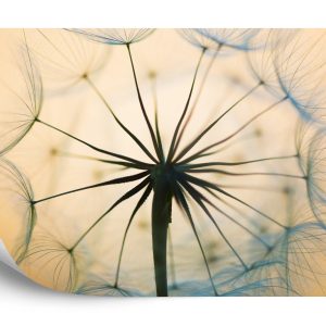 Papier Peint Pissenlit Optique – Image 2