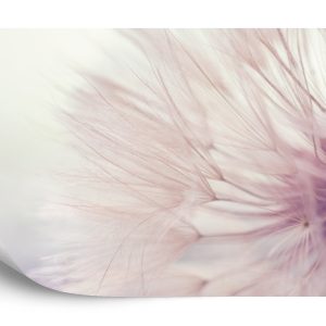 Papier Peint Graines De Pissenlit – Image 2