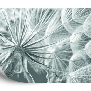 Papier Peint Pissenlit 3D – Image 2