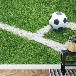 Papier Peint Balle Dans Le Coin – Image 7