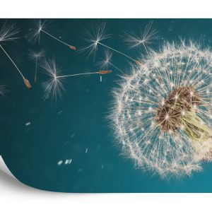 Papier Peint Pissenlit Optique – Image 2