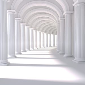 Papier Peint Forêt Dans Le Brouillard – Image 1