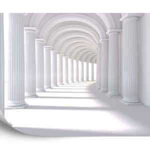 Papier Peint Forêt Dans Le Brouillard – Image 2