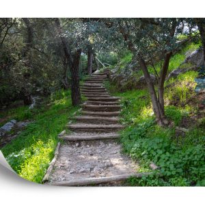 Papier Peint Escalier Dans Les Bois 3D – Image 2