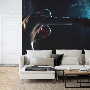 Papier Peint Boxer D'entraînement À L'ombre – Image 6