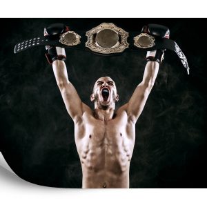 Papier Peint Boxeur Victorieux – Image 2