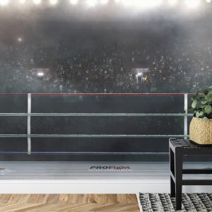 Papier Peint Ring De Boxe – Image 7