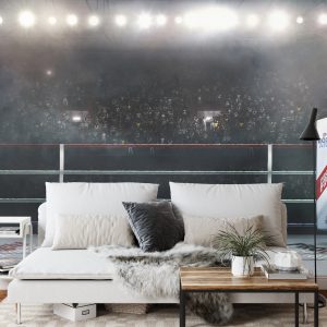 Papier Peint Ring De Boxe – Image 3