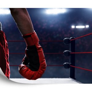 Papier Peint Boxeur Dans Le Ring – Image 2