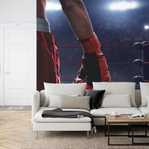 Papier Peint Boxeur Dans Le Ring – Image 6