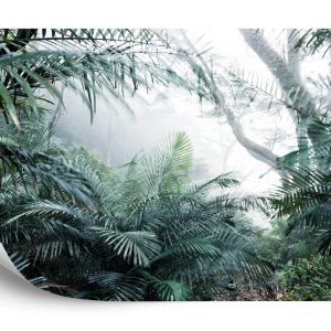 Papier Peint Forêt Dans Le Brouillard – Image 2