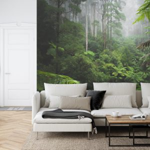 Papier Peint Forêt Dans Le Brouillard – Image 6