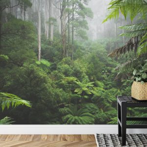 Papier Peint Forêt Dans Le Brouillard – Image 7