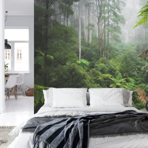 Papier Peint Forêt Dans Le Brouillard – Image 8