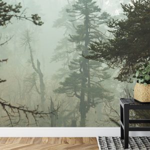 Papier Peint Forêt Dans Le Brouillard – Image 7