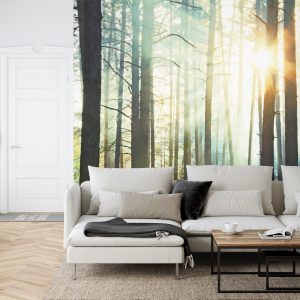 Papier Peint Forêt Dans Le Brouillard – Image 6