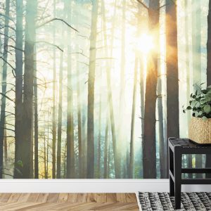 Papier Peint Forêt Dans Le Brouillard – Image 7