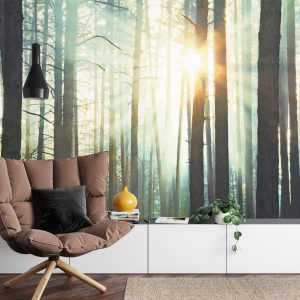 Papier Peint Forêt Dans Le Brouillard – Image 4