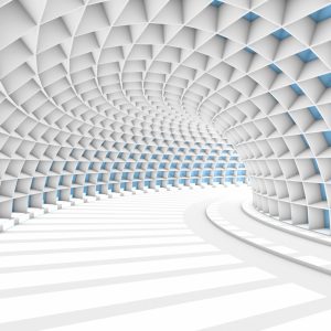 Papier Peint Forêt Dans Le Brouillard – Image 1