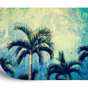 Papier Peint Palmiers Dans Le Style Grunge – Image 2
