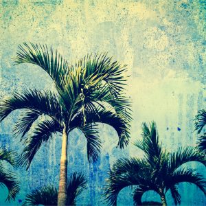 Papier Peint Palmiers Dans Le Style Grunge – Image 1