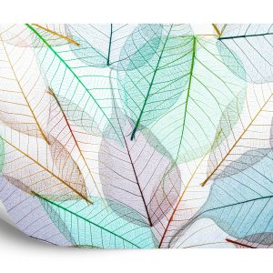 Papier Peint Feuilles Translucides Colorées – Image 2