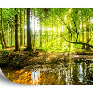 Papier Peint Beau Paysage Forestier Au Printemps En Effet 3D – Image 2