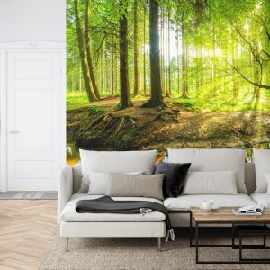 Papier Peint Beau Paysage Forestier Au Printemps En Effet 3D – Image 6