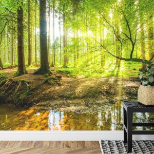Papier Peint Beau Paysage Forestier Au Printemps En Effet 3D – Image 7