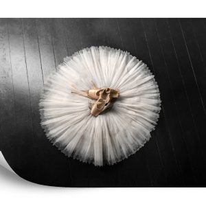 Papier Peint Chaussures De Ballet Sur Un Tutu Blanc – Image 2