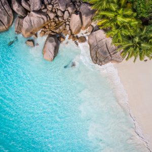 Papier Peint Plage Océan Palmiers – Image 1